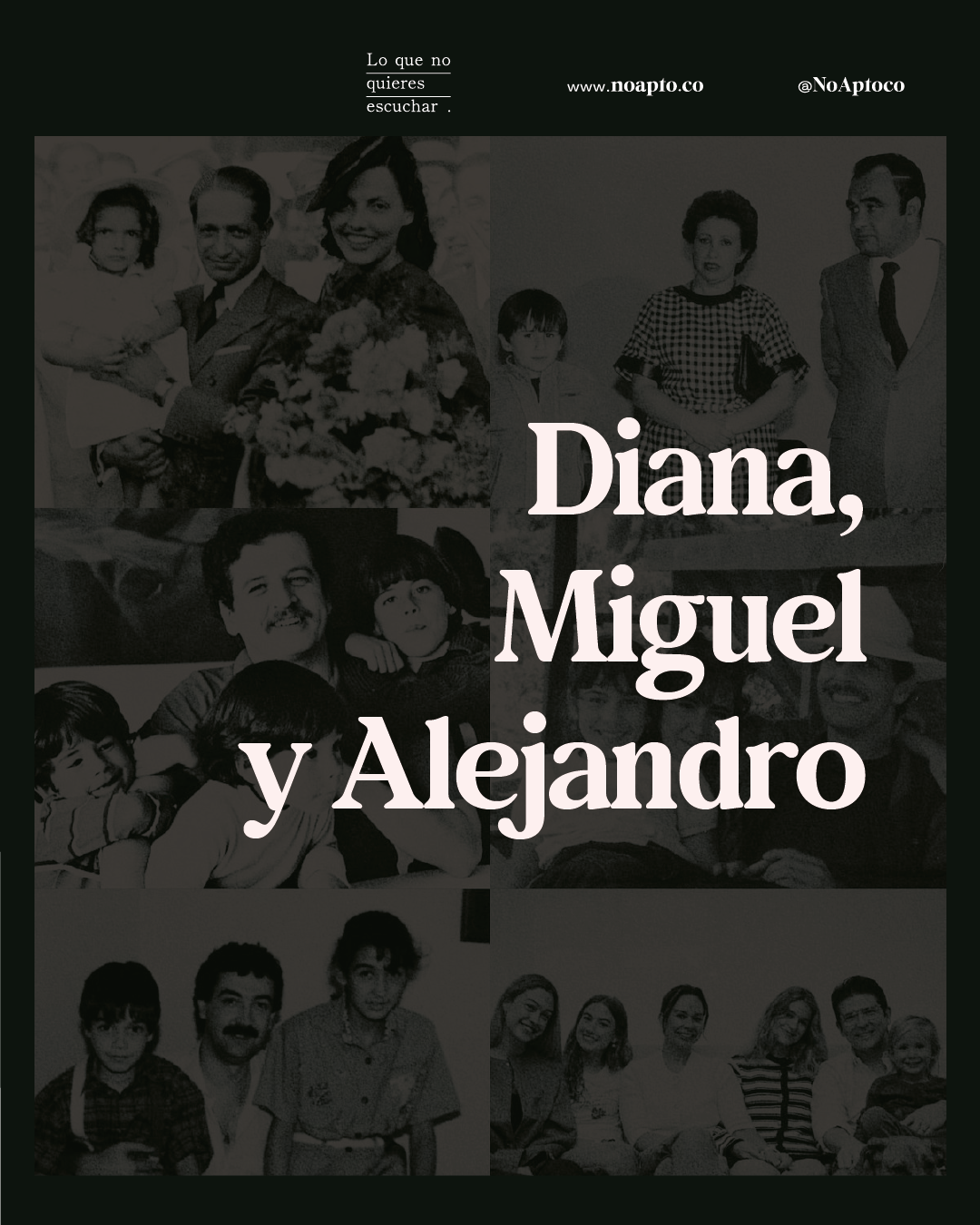 dianamiguel_Mesa de trabajo 1